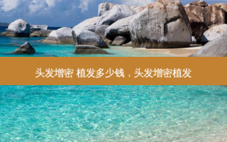 头发增密 植发多少钱，头发增密植发