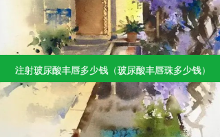 注射玻尿酸丰唇多少钱（玻尿酸丰唇珠多少钱）