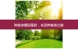 种植体哪国好，各国种植体比较