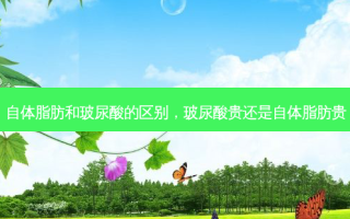 自体脂肪和玻尿酸的区别，玻尿酸贵还是自体脂肪贵