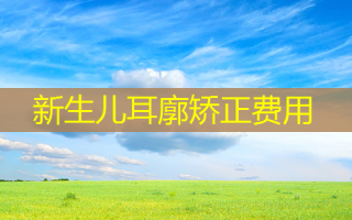 新生儿耳廓矫正费用