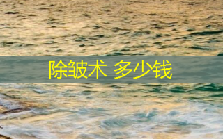 除皱术 多少钱
