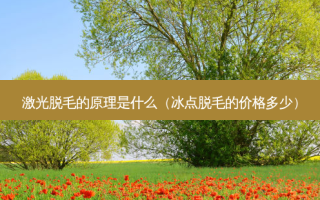 激光脱毛的原理是什么（冰点脱毛的价格多少）