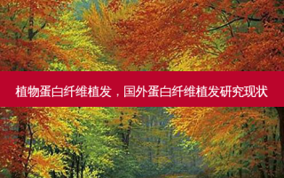 植物蛋白纤维植发，国外蛋白纤维植发研究现状