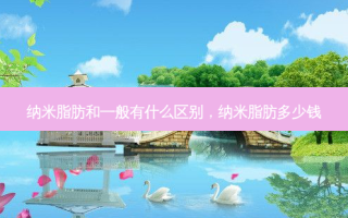 纳米脂肪和一般有什么区别，纳米脂肪多少钱