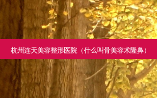 杭州连天美容整形医院（什么叫骨美容术隆鼻）