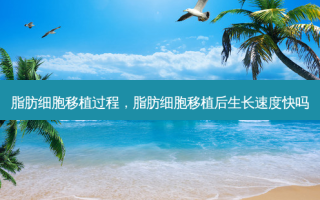 脂肪细胞移植过程，脂肪细胞移植后生长速度快吗