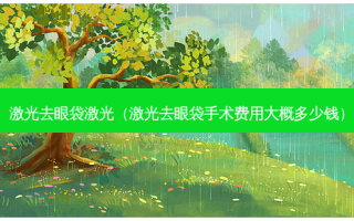 激光去眼袋激光（激光去眼袋手术费用大概多少钱）