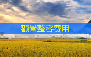颧骨整容费用
