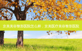 京美美容整形医院怎么样，京美医疗美容整形医院