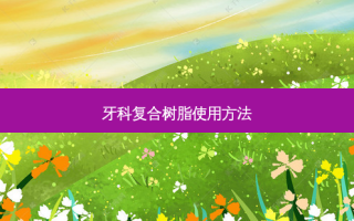 牙科复合树脂使用 *** 