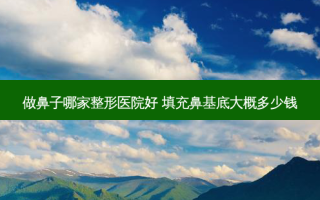 做鼻子哪家整形医院好 填充鼻基底大概多少钱