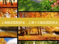 上海植发医院排名，上海十大植发医院排名