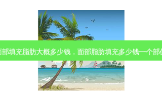 面部填充脂肪大概多少钱，面部脂肪填充多少钱一个部位