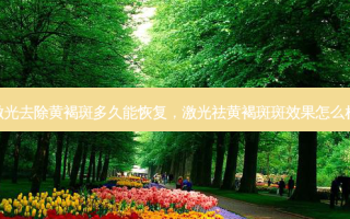 激光去除黄褐斑多久能恢复，激光祛黄褐斑斑效果怎么样