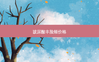 玻尿酸丰脸颊价格