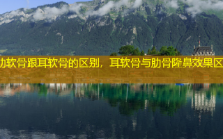 肋软骨跟耳软骨的区别，耳软骨与肋骨隆鼻效果区别