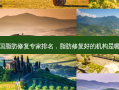 中国脂肪修复专家排名，脂肪修复好的机构是哪个