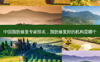 中国脂肪修复专家排名，脂肪修复好的机构是哪个