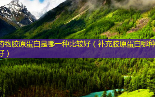 药物胶原蛋白是哪一种比较好（补充胶原蛋白哪种好）