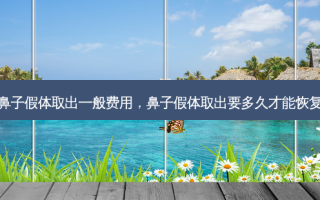 鼻子假体取出一般费用，鼻子假体取出要多久才能恢复