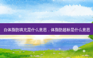 自体脂肪填充是什么意思，体脂肪超标是什么意思