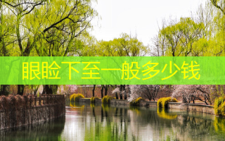 眼睑下至一般多少钱