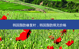 韩国脂肪修复针，韩国脂肪填充价格