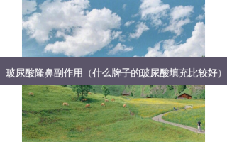 玻尿酸隆鼻副作用（什么牌子的玻尿酸填充比较好）