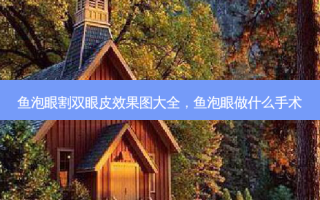 鱼泡眼割双眼皮效果图大全，鱼泡眼做什么手术