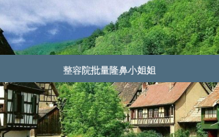 整容院批量隆鼻小姐姐