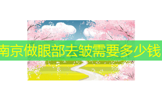 南京做眼部去皱需要多少钱