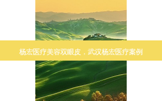杨宏医疗美容双眼皮，武汉杨宏医疗案例