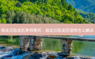 植发后取发区疼得要死，植发后取发区很痒怎么解决