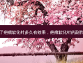 打了疤痕软化针多久有效果，疤痕软化针的副作用