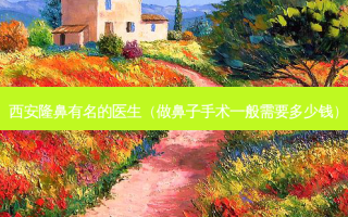 西安隆鼻有名的医生（做鼻子手术一般需要多少钱）