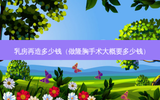  *** 再造多少钱（做隆胸手术大概要多少钱）