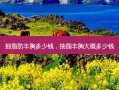 抽脂肪丰胸多少钱，抽脂丰胸大概多少钱