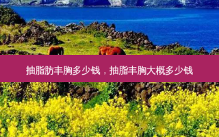 抽脂肪丰胸多少钱，抽脂丰胸大概多少钱