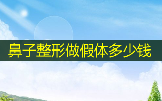 鼻子整形做假体多少钱