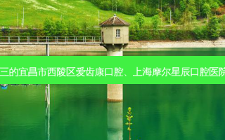 国内牙科医院排名前三的宜昌市西陵区爱齿康口腔、上海摩尔星辰口腔医院对比!实力水平如何?