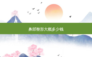 鼻部整形大概多少钱