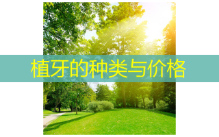 植牙的种类与价格