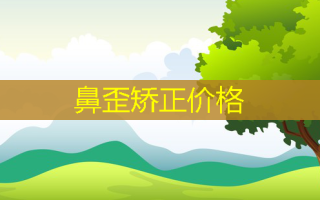 鼻歪矫正价格