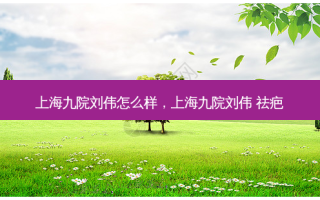 上海九院刘伟怎么样，上海九院刘伟 祛疤