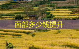 面部多少钱提升