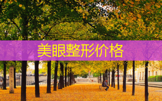 美眼整形价格