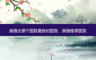抽脂去那个医院 *** 的医院，抽脂推荐医院