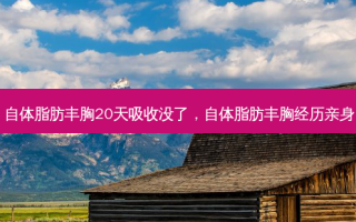 自体脂肪丰胸20天吸收没了，自体脂肪丰胸经历亲身