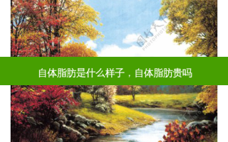 自体脂肪是什么样子，自体脂肪贵吗